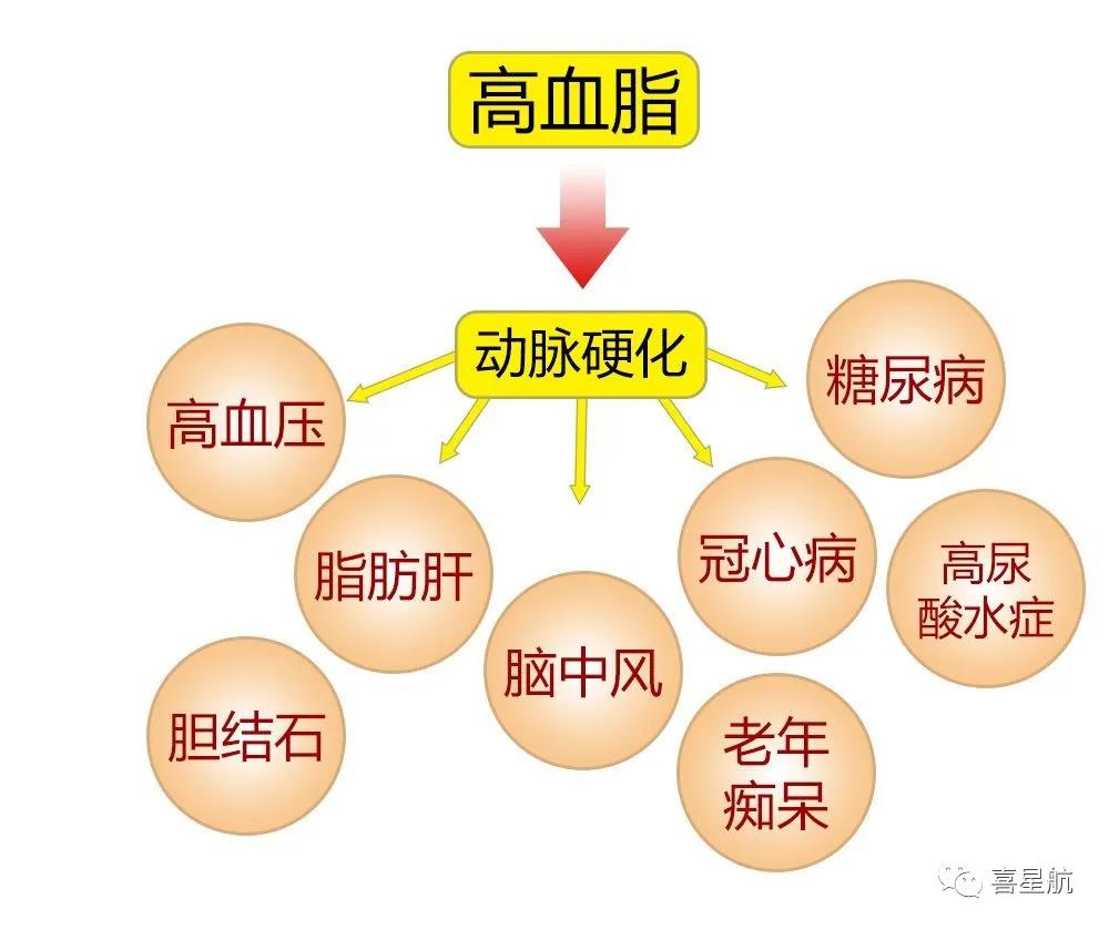 關(guān)于高血壓、糖尿病患者，9月1日起城鄉(xiāng)居民醫(yī)保門(mén)診用藥保(圖3)